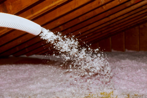 Best Insulation Contractor Near Me  in Crafton, PA