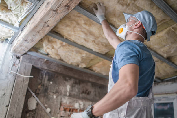 Best Home Insulation Services  in Crafton, PA