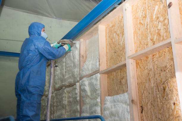Best Insulation Contractors for Homes  in Crafton, PA