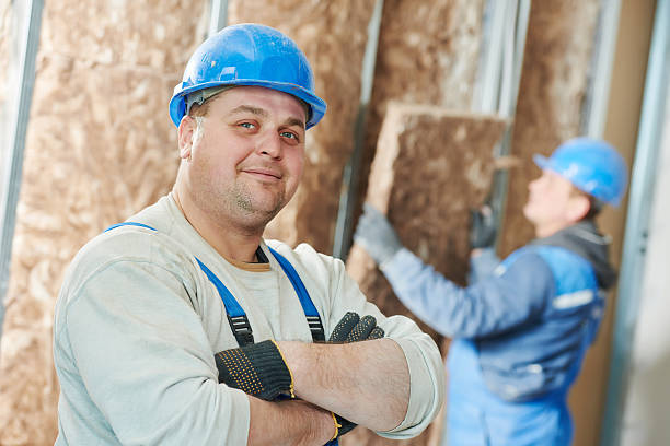Best Cellulose Insulation  in Crafton, PA
