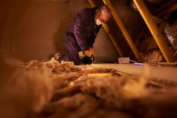Best Insulation Replacement Services  in Crafton, PA